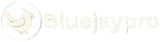bluejaypro_logo-removebg-preview bluejaypro_logo-removebg-preview